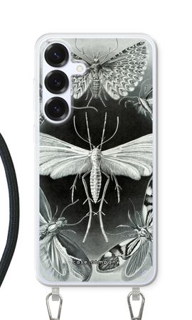 Haeckel Tineida