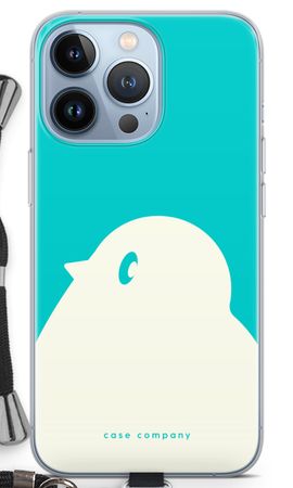 BIG Robin 2