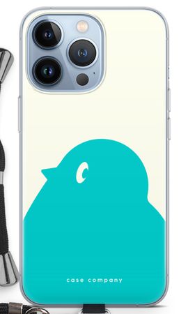 BIG Robin 1