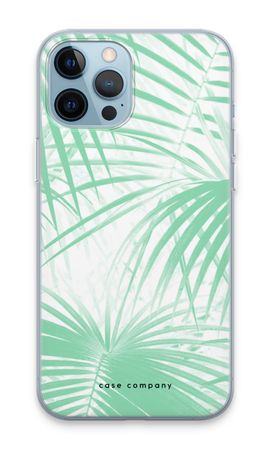 Palm leaves