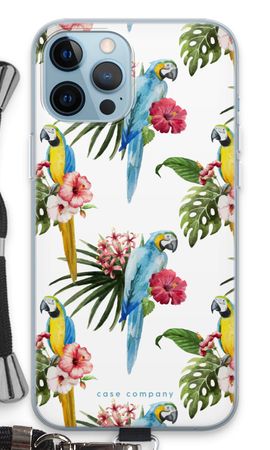 Colourful parrots