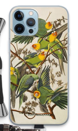 Carolina Parrot