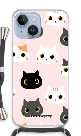 Gatos