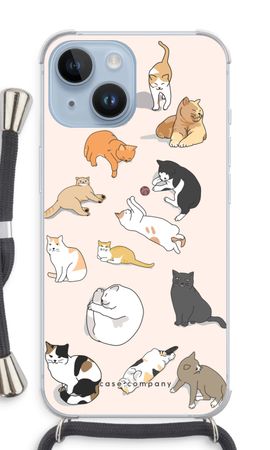Cats