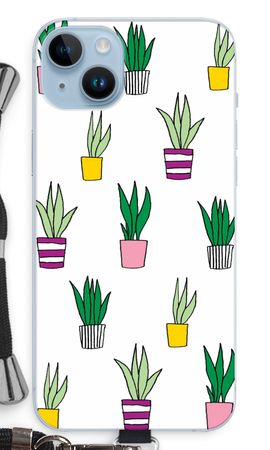 Sanseveria