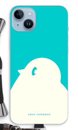 BIG Robin 2