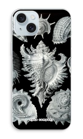 Haeckel Prosobranchia