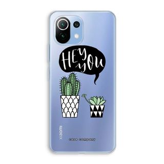 Hey you cactus
