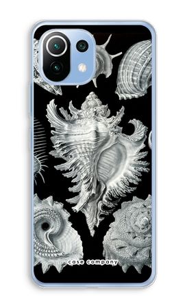 Haeckel Prosobranchia