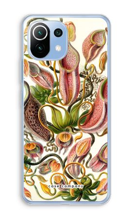 Haeckel Nepenthaceae