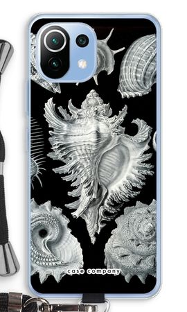 Haeckel Prosobranchia