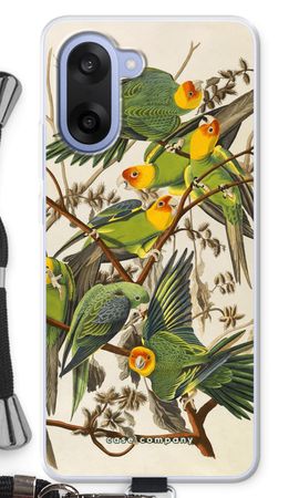 Carolina Parrot