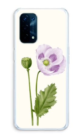 Purple poppy