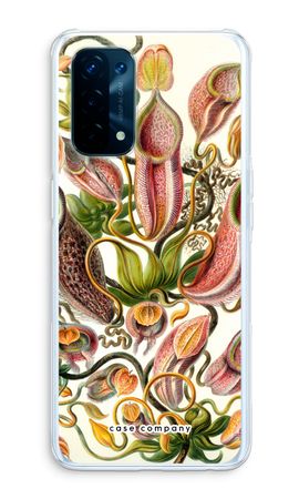 Haeckel Nepenthaceae