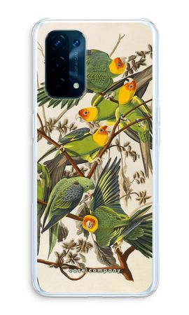Carolina Parrot