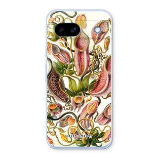 Haeckel Nepenthaceae