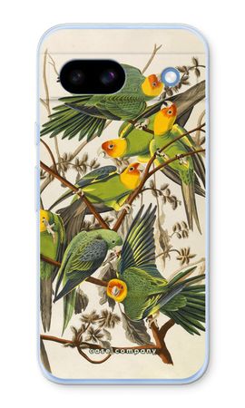 Carolina Parrot