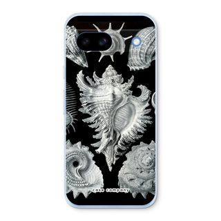Haeckel Prosobranchia