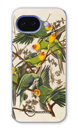 Carolina Parrot