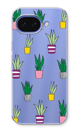 Sanseveria