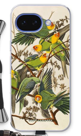 Carolina Parrot