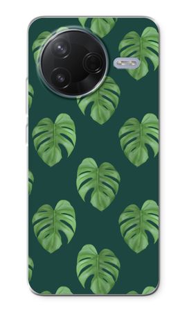 Monstera leaves