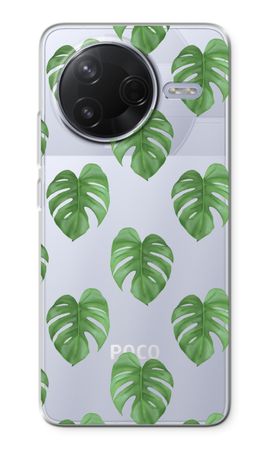 Monstera leaves