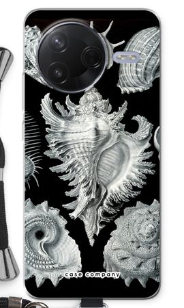 Haeckel Prosobranchia