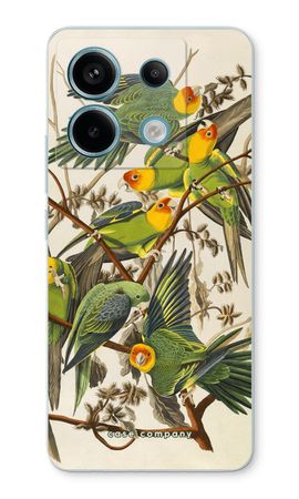 Carolina Parrot