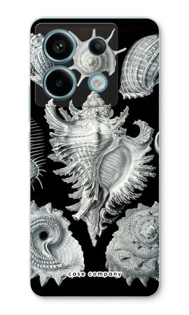 Haeckel Prosobranchia