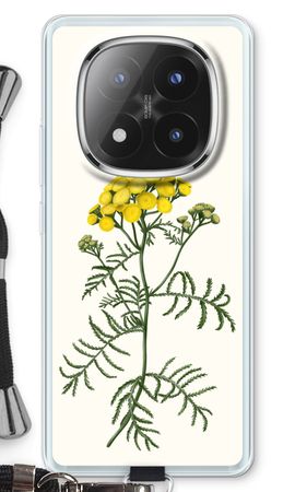 Tansy