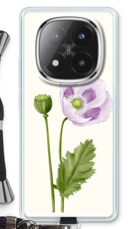 Purple poppy