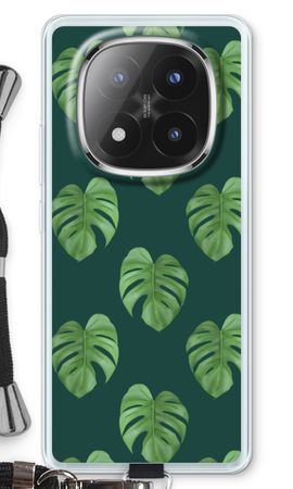 Monstera leaves