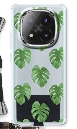 Monstera leaves