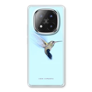 Colibri