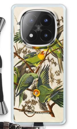 Carolina Parrot