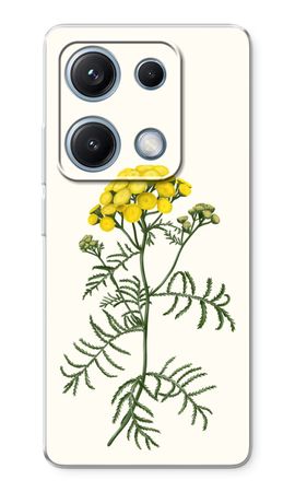 Tansy