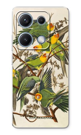 Carolina Parrot