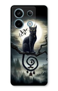 Moonlight Companions