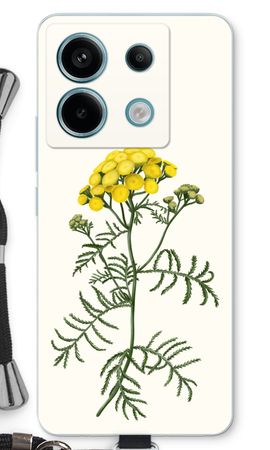 Tansy