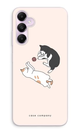 Playing cats
