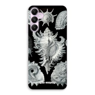 Haeckel Prosobranchia