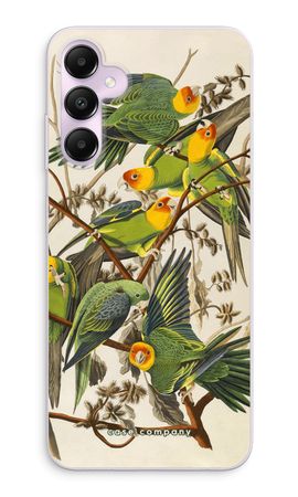 Carolina Parrot