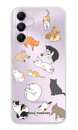 Cats