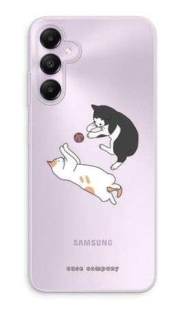 Playing cats