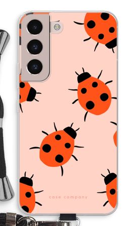 Ladybugs