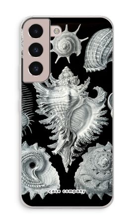 Haeckel Prosobranchia