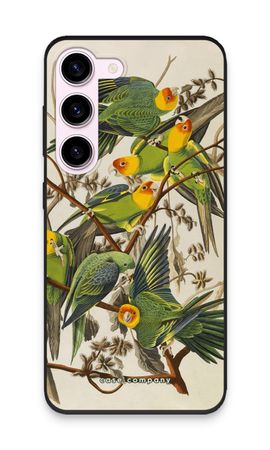 Carolina Parrot