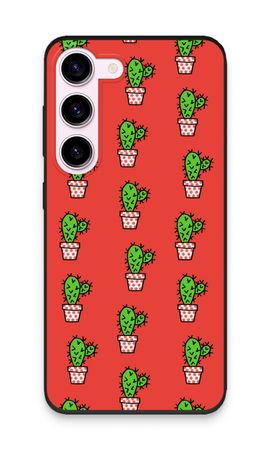Mini cactus