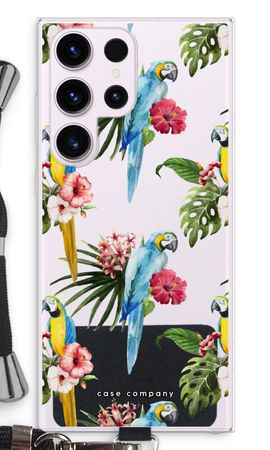 Colourful parrots